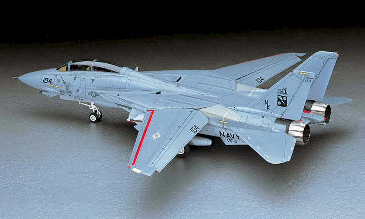 Hasegawa F-14D Super Tomcat 'CVW-14' 1/48