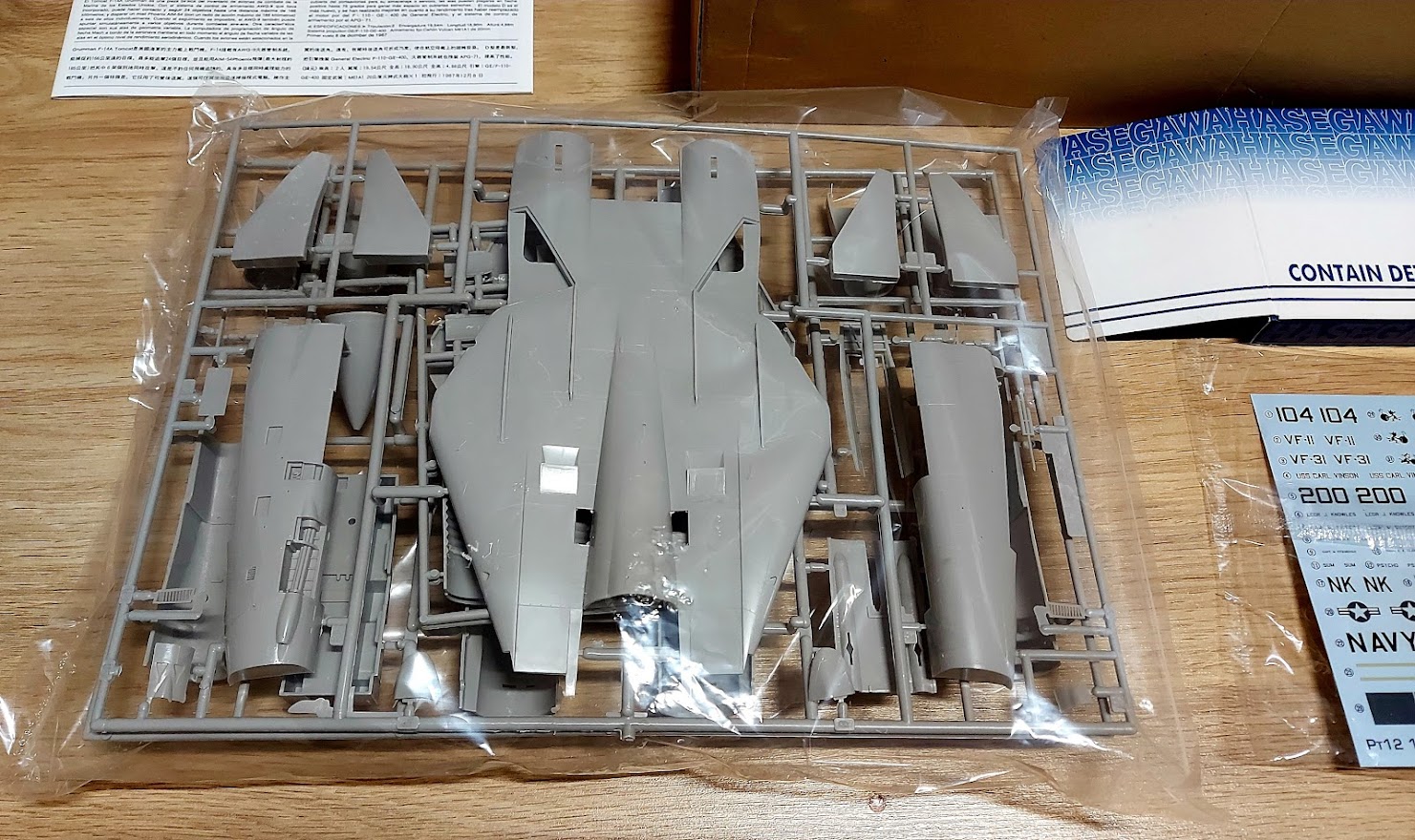Hasegawa F-14D Super Tomcat 'CVW-14' 1/48