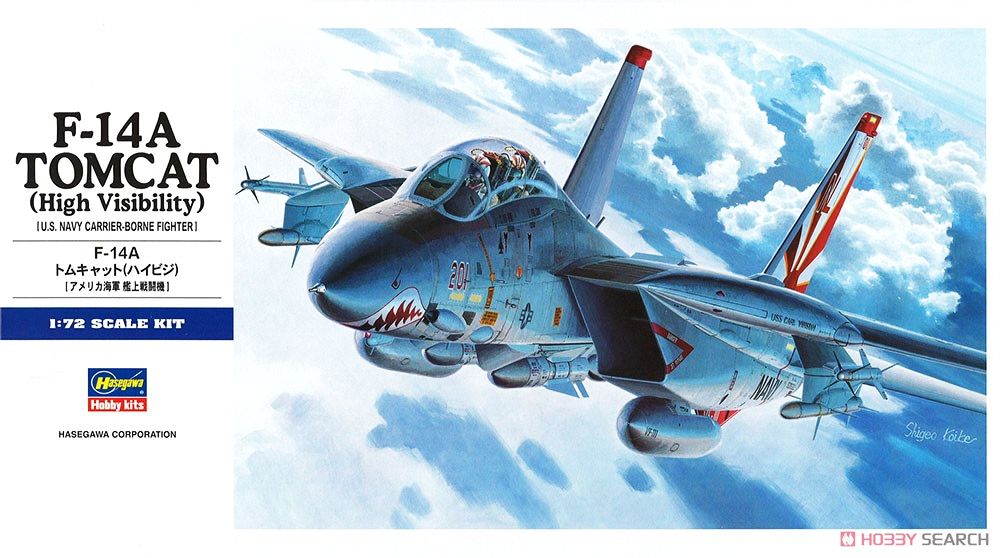 Hasegawa F-14A Tomcat (Low Visibility) 1/72