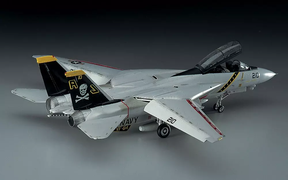 Hasegawa F-14A Tomcat (High Visibility) 1/72