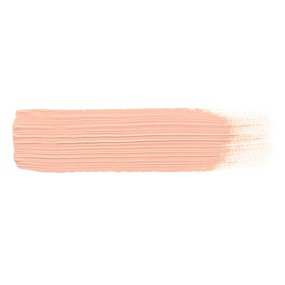 AK Basic Flesh Tone / Kůže