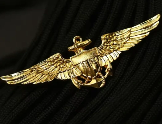 Kovová brož pilotů US NAVY "Wings of Gold"