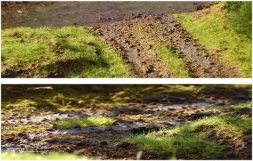 Flockovací nástroj (Pro aplikaci vzpřímené trávy dioramat) + 6 druhů flockovací trávy