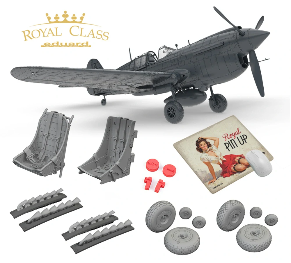 Eduard P-40K Warhawk Royal Class DUAL COMBO 2v1! 1/48