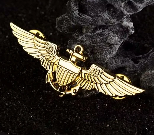 Kovová brož pilotů US NAVY "Wings of Gold"