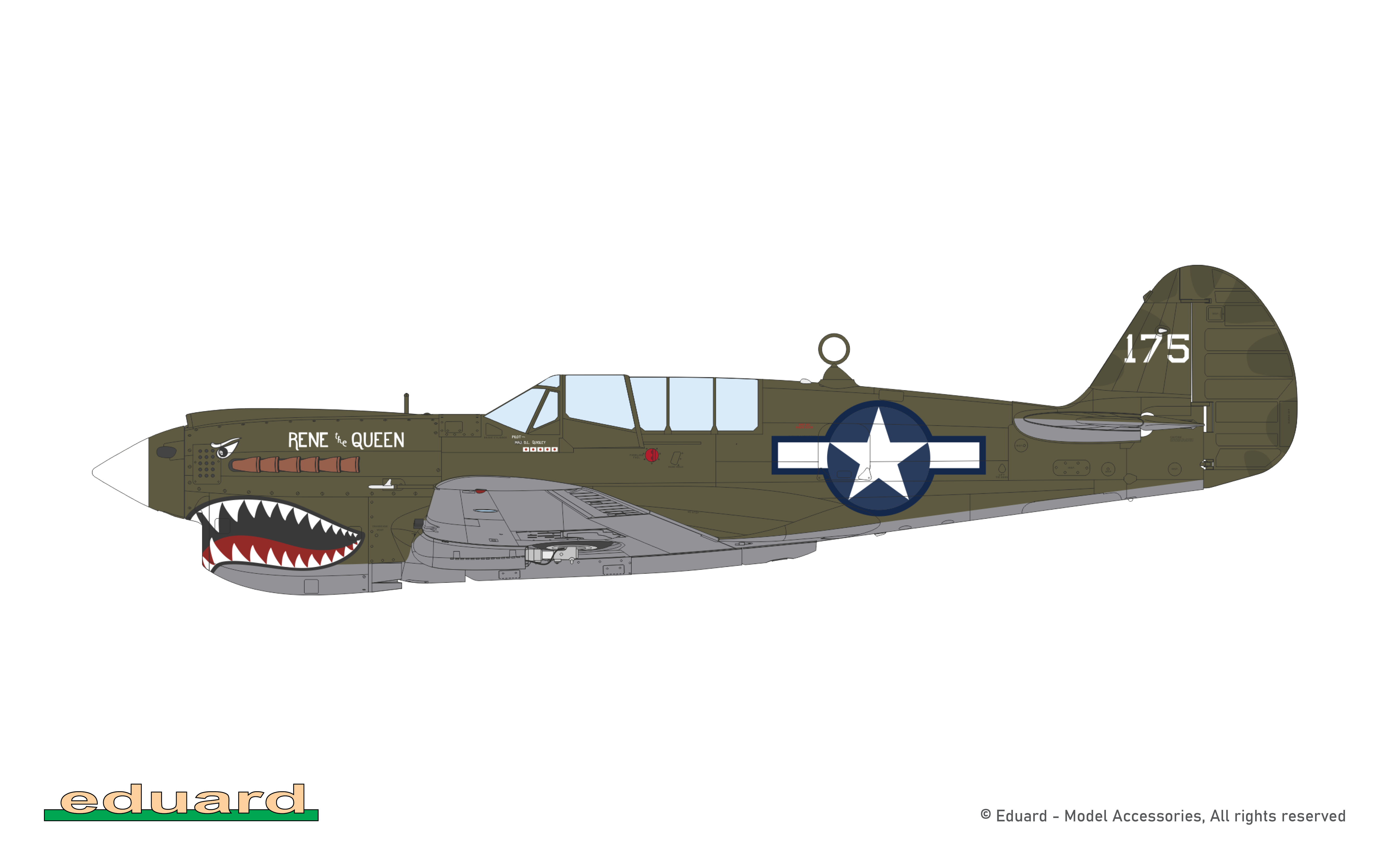 Eduard P-40N Warhawk ProfiPACK 1/48
