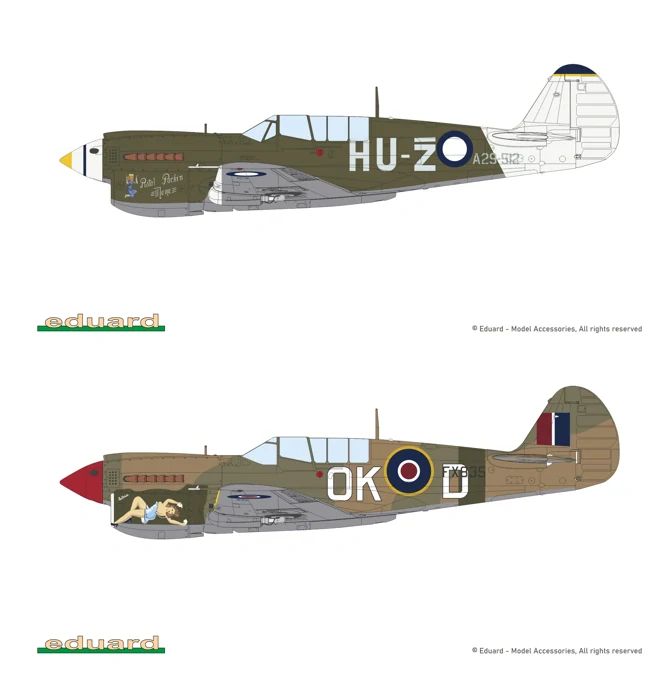 Eduard KITTYHAWK DUAL COMBO (P-40E + P-40N) Limited 1/48