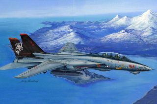 Hobby Boss F-14D Tomcat Grim Reapers 1/48