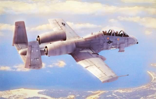 Hobby Boss N/AW A-10A “THUNDERBOLT” II 1/48