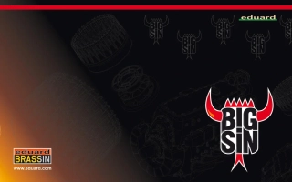 Eduard F-14A zbraňový set - detail set 1/48